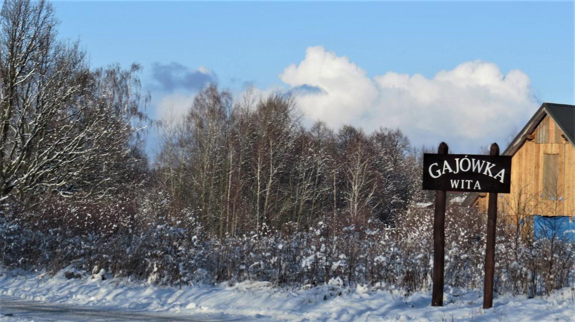 Maja Pokoje Z Widokiem Kameralna Agroturystyka Na Pogorzu Izerskim Z Sauna I Jacuzzi (Adults Only) Mirsk Exterior photo