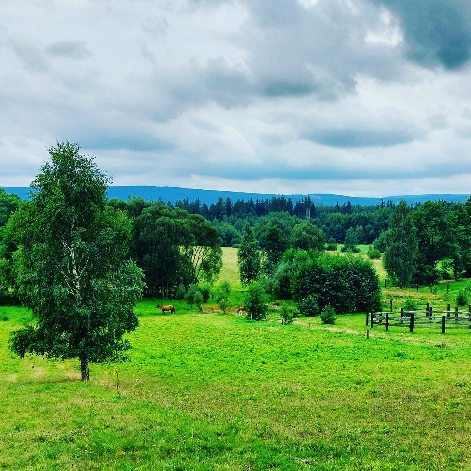 Maja Pokoje Z Widokiem Kameralna Agroturystyka Na Pogorzu Izerskim Z Sauna I Jacuzzi (Adults Only) Mirsk Exterior photo