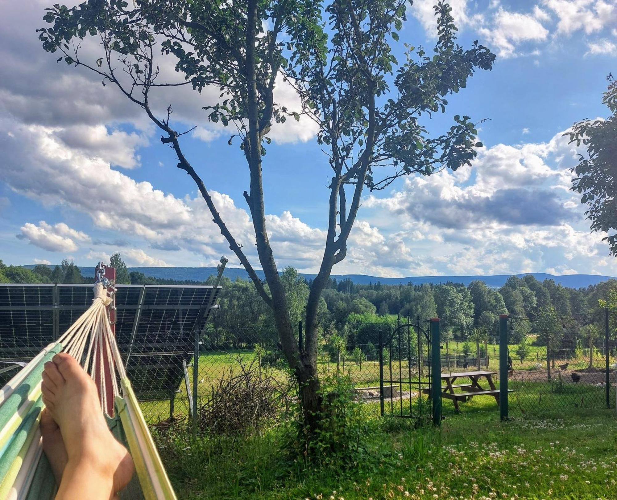 Maja Pokoje Z Widokiem Kameralna Agroturystyka Na Pogorzu Izerskim Z Sauna I Jacuzzi (Adults Only) Mirsk Exterior photo